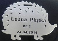 Pierwszy medal - Leśna Piątka 2014 #1/6