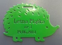 Trzeci medal - Leśna Piątka 2014 #3/6