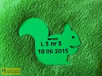 Zielona wiewiórka - trzeci medal w Leśnej Piątce 2015 - specjalnie dla dzieci.